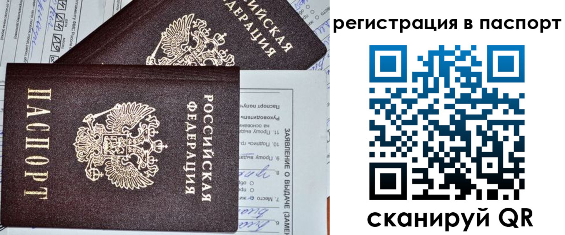 прописка законно в Россоши
